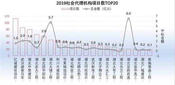 2019社会代理机构项目数TOP20